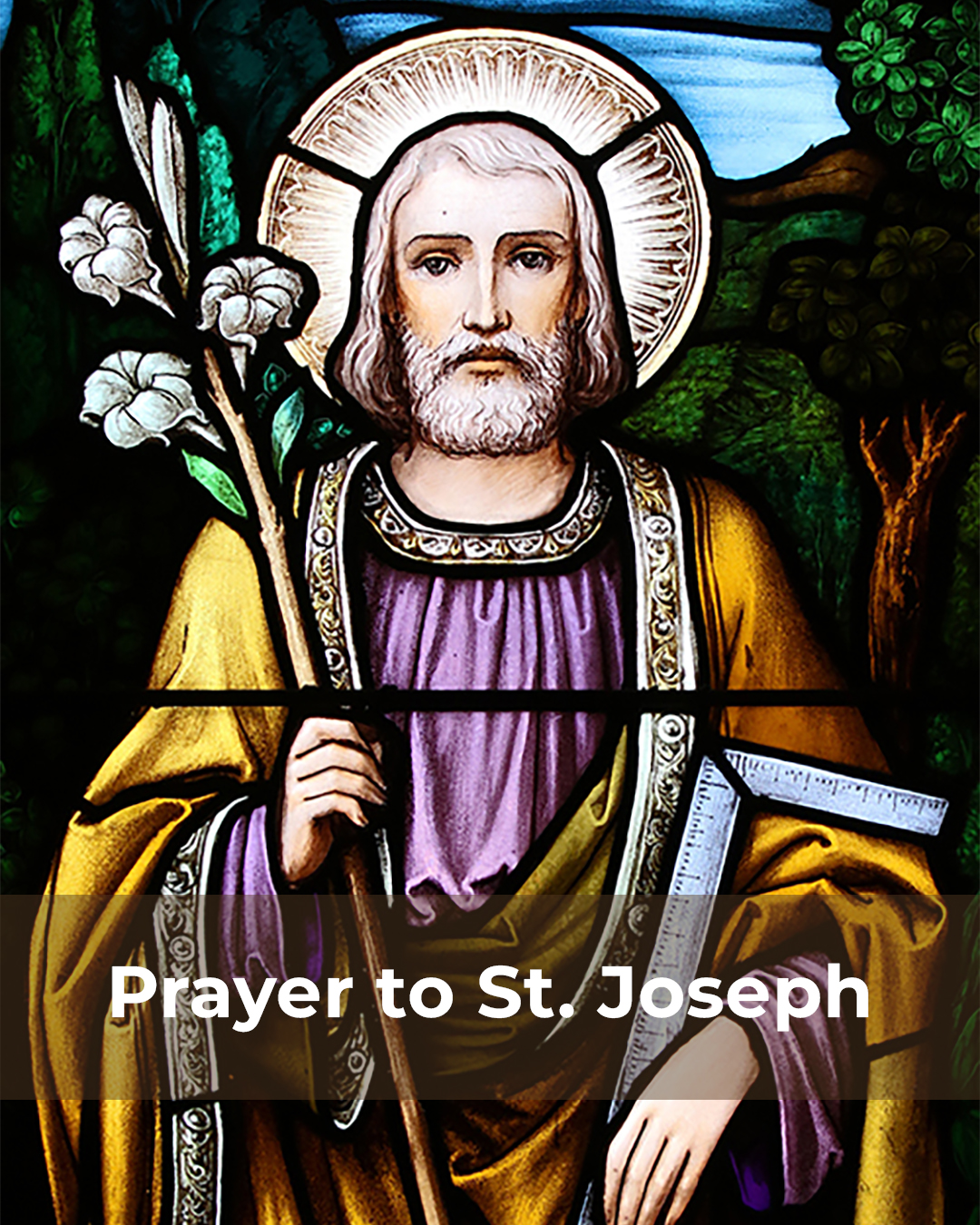 Prayer to St. Joseph                                                                                                                                                                                                                                                                                        